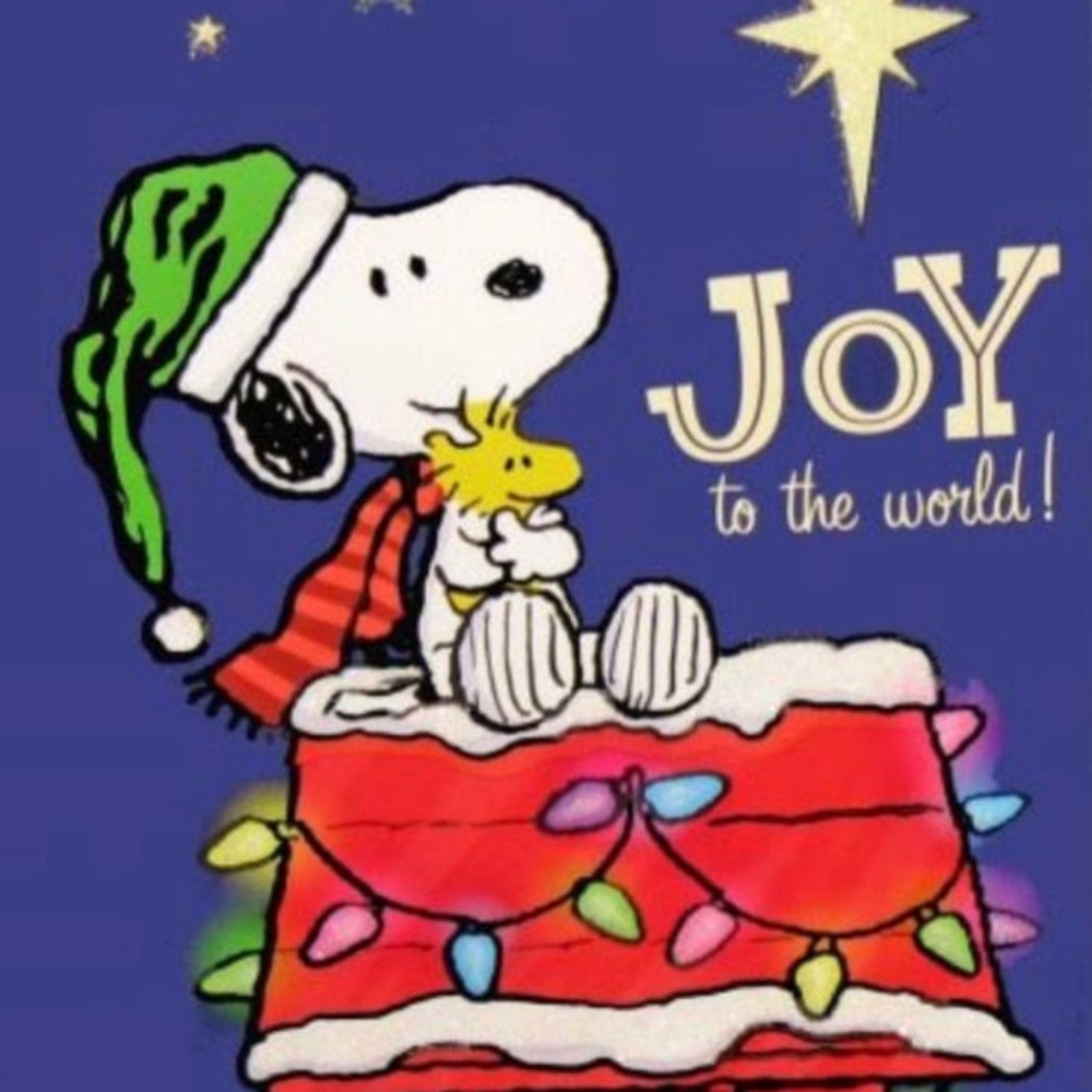 Meet your Posher, Cyndi